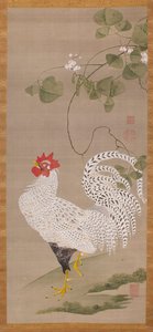 Pergamino colgante (gallo blanco)